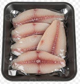 Fresh Fish Fillets