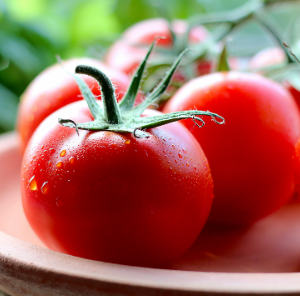 Fresh Tomatoes